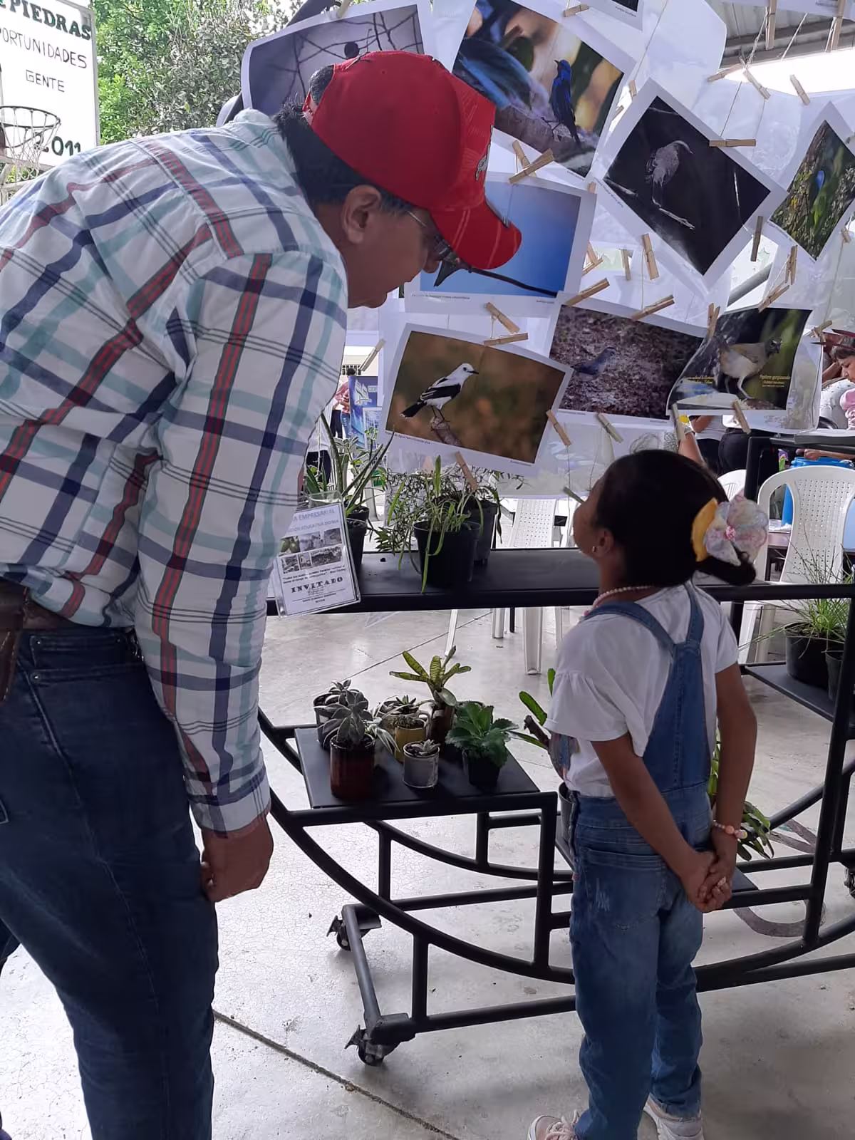 Caimán en su hábitat natural